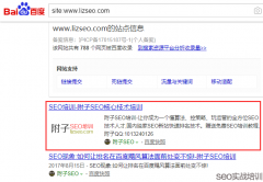 误区解读,网站降权无需看SITE命令,SEO知识点深